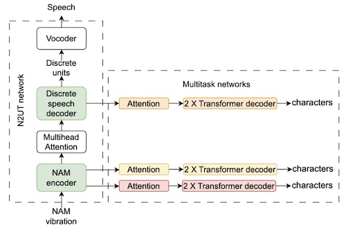 interspeech_2025_nam.jpg